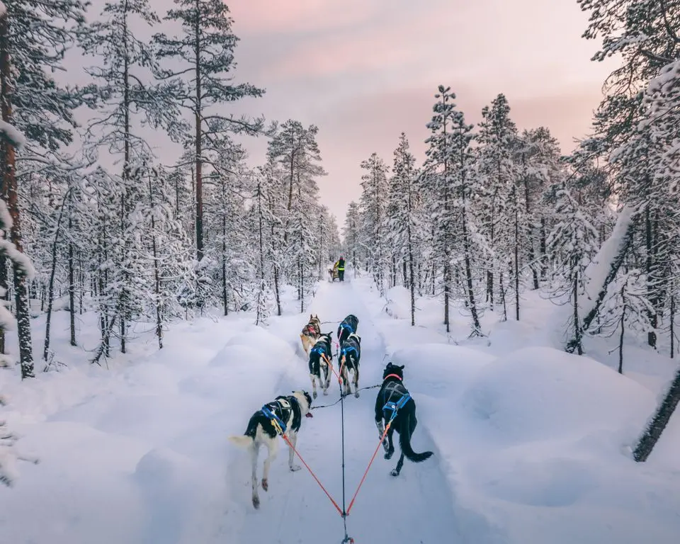 Galeria3 Finlandia