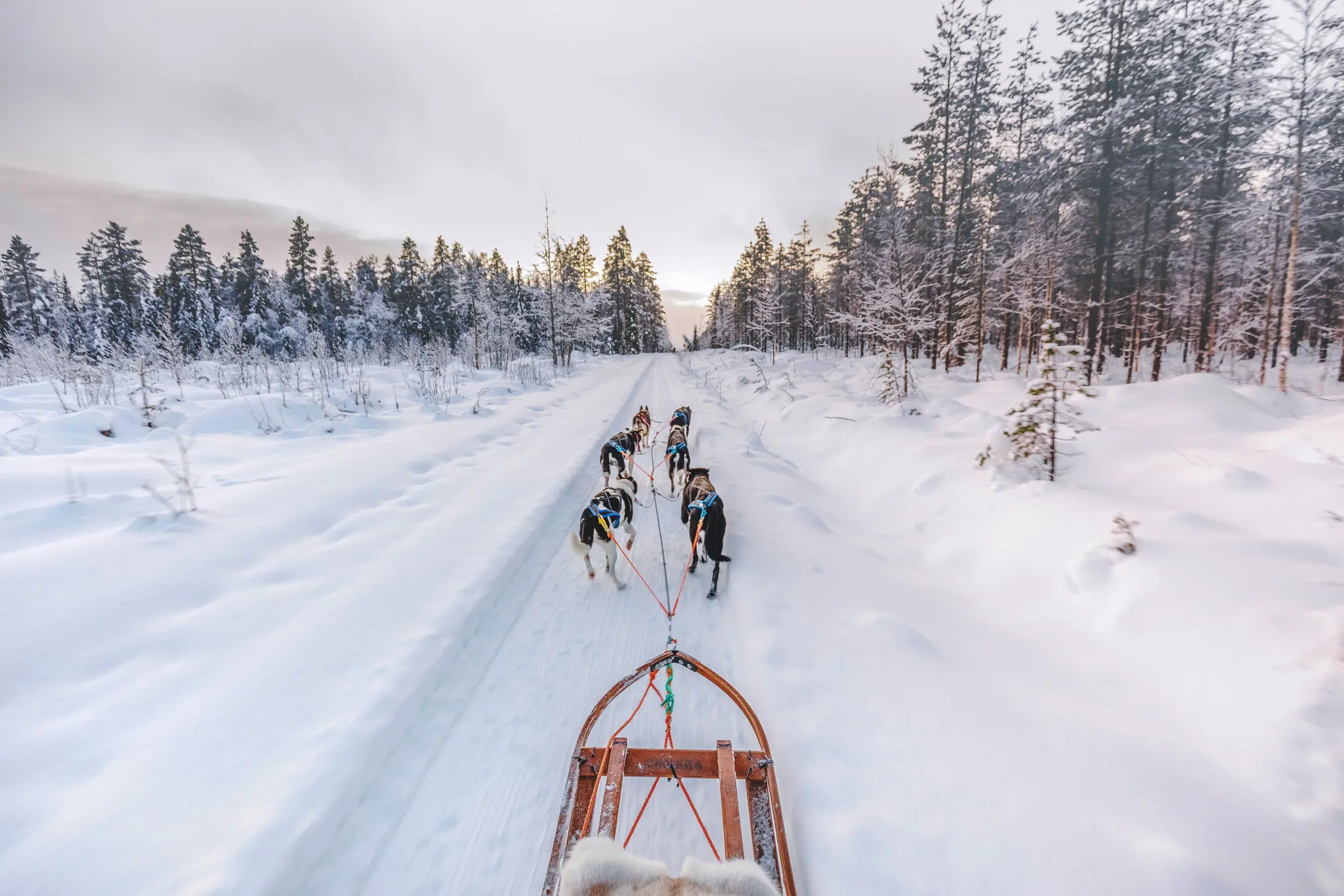 Galeria3 Finlandia