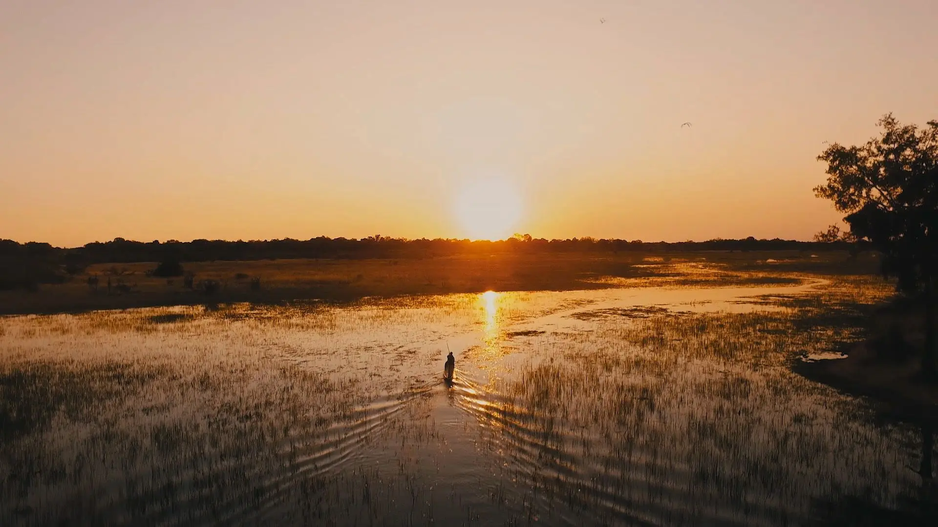 Okavango & Botsuana